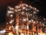 Plant at Night