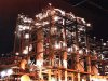 Plant at Night