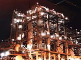 Plant at Night