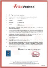 Type Cert 1